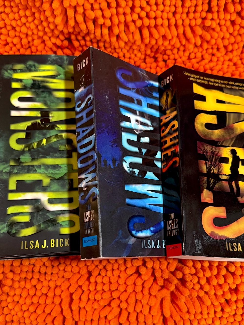 The Ashes Trilogy by author Ilsa J. Bick